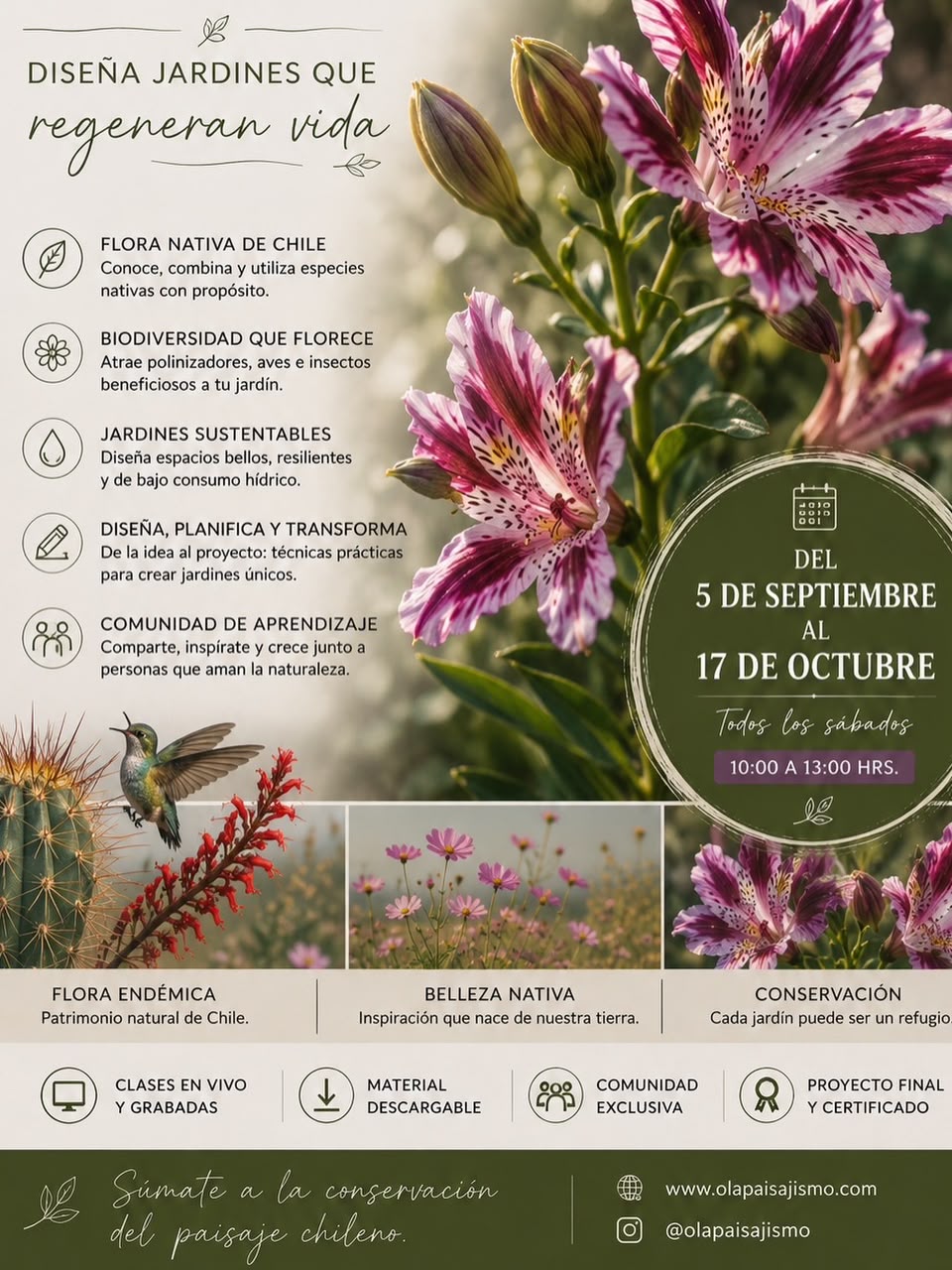 Curso de Paisajismo y Biodiversidad para Principiantes — Ola Paisajismo