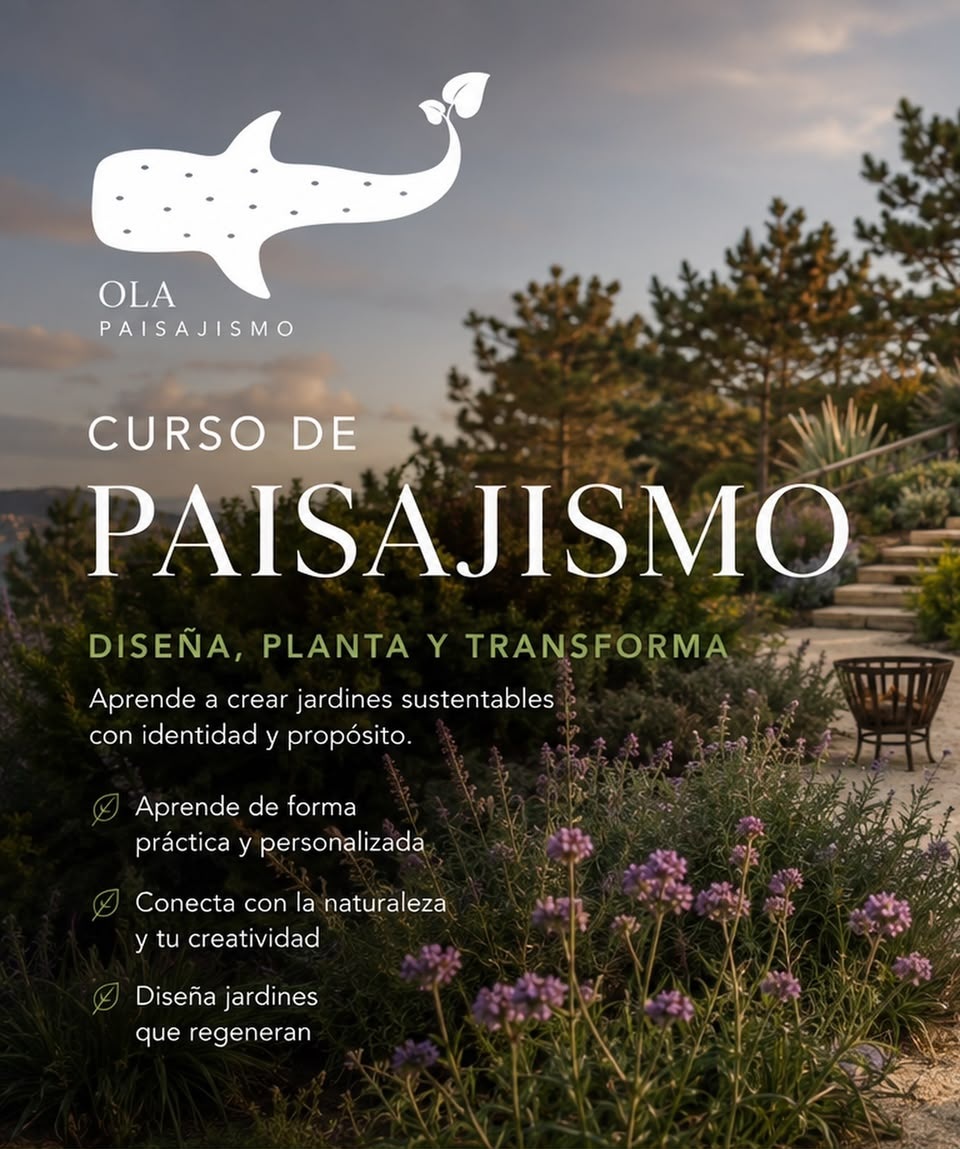 Curso de Paisajismo y Biodiversidad para Principiantes — Ola Paisajismo - Imagen 3