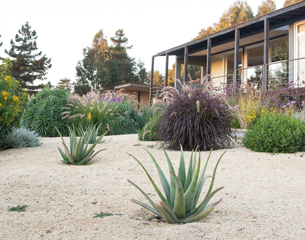 Curso de Paisajismo y Biodiversidad para Principiantes — Ola Paisajismo - Imagen 4